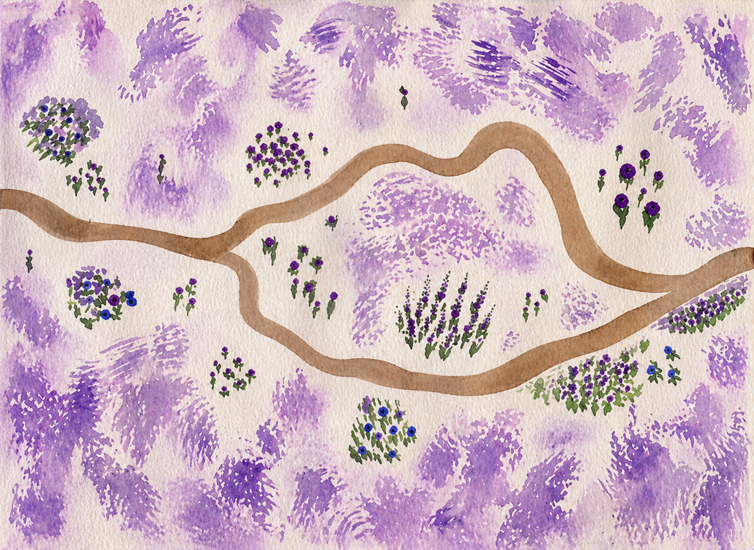 Choose Your Path - Flowers All Purple